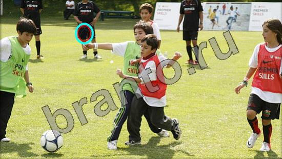 Где же кот игра ответы Уровень 933