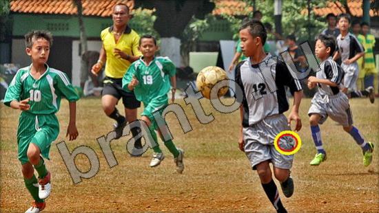 Игра Где же кот подсказки Уровень 938