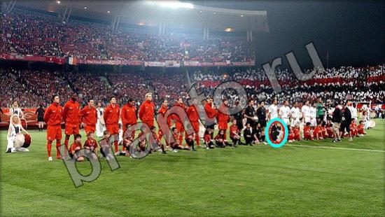 игра Где же кот помощь Уровень 939