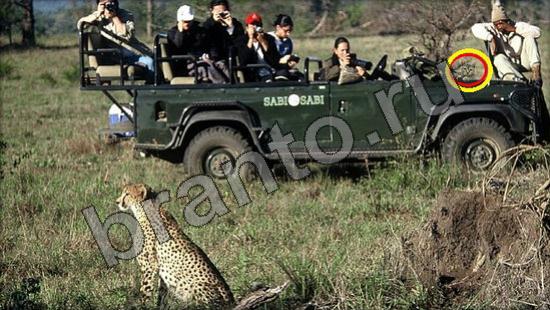 Прохождение игры Где же кот Уровень 944