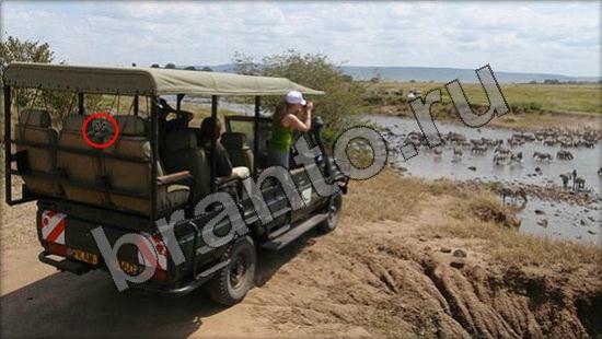 ответы Где же кот Уровень 945