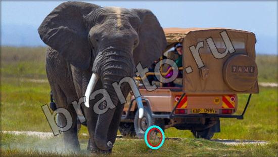 Где же кот игра ответы Уровень 949