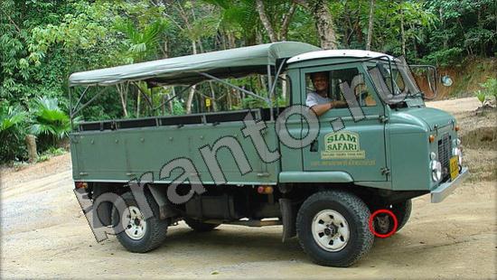 ответы на игру Где же кот Уровень 954