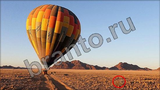 ответы на игру Где же кот Уровень 957