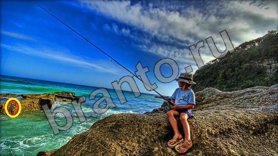 ответы на игру Где же кот Уровень 961