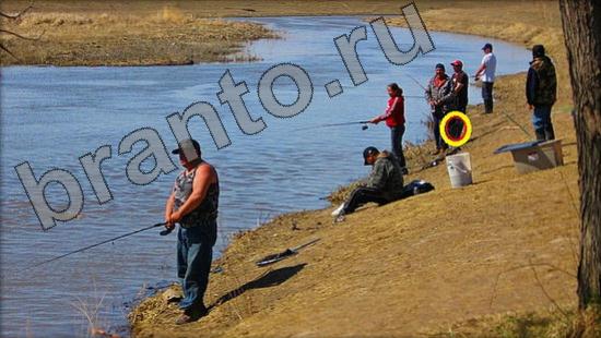 Подсказки на игру Где же кот Уровень 962