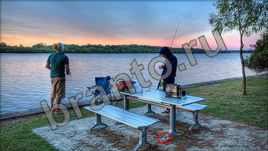 Помощь на игру Где же кот Уровень 964