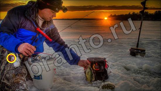 ответы к игре Где же кот Уровень 965