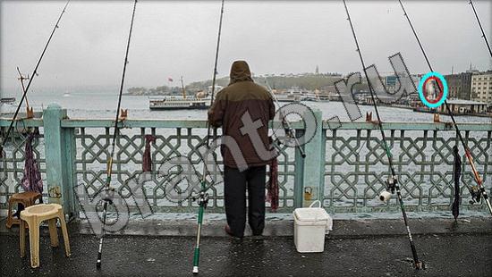 Где же кот? ответы Уровень 968