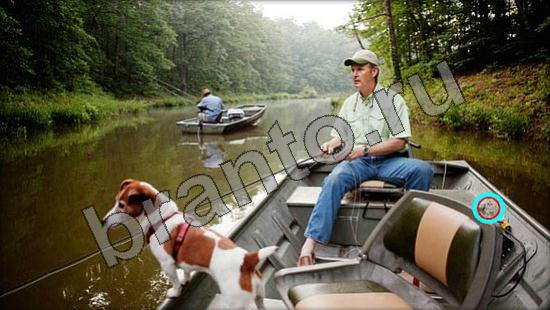 Где же кот? подсказки Уровень 969