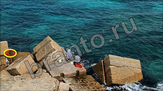 Где же кот? решения Уровень 972