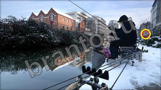 Где же кот ответы в картинках Уровень 976