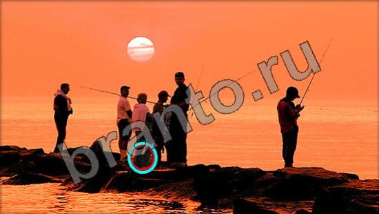 Игра Где же кот подсказки Уровень 978