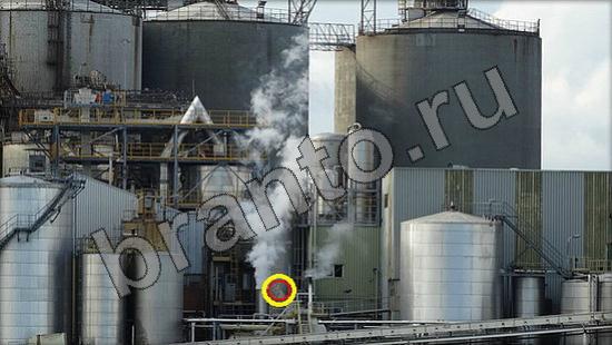 прохождение на игру Где же кот Уровень 981