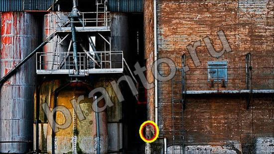 Где же кот прохождение игры Уровень 982