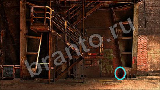 ответы Где же кот Уровень 985