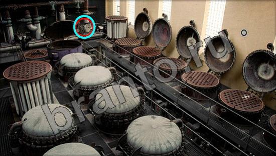 Где же кот помощь в картинках Уровень 991