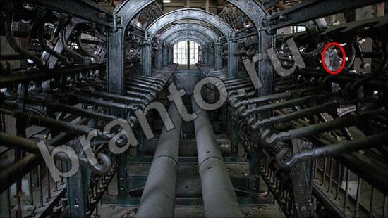 ответы на игру Где же кот в скриншотах Уровень 992