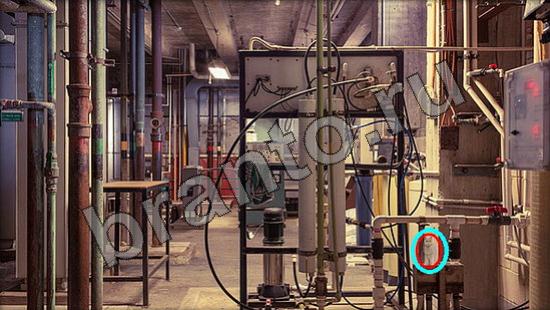 ответы на игру Где же кот Уровень 994