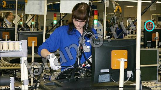 ответы на игру Где же кот Уровень 995