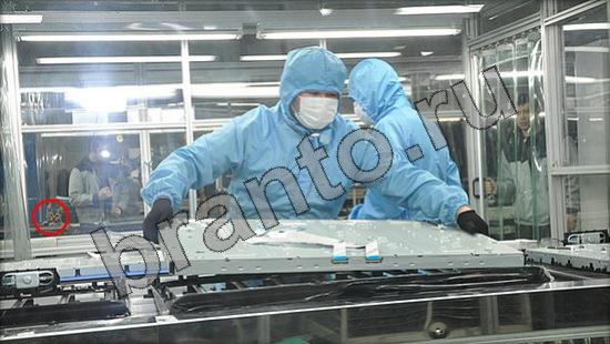 Где же кот ответы в одноклассниках Уровень 999