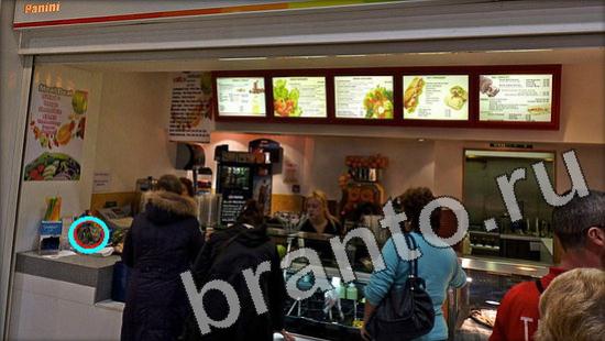 Где же кот? решения Уровень 1092