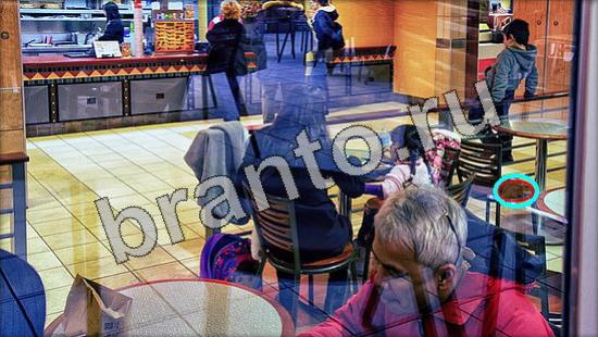 игра Где же кот помощь Уровень 1099