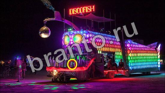 ответы Где же кот Уровень 1105