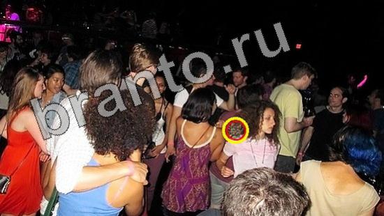 Где же кот игра ответы Уровень 1109