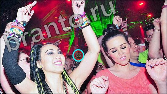 ответы на игру Где же кот Уровень 1116