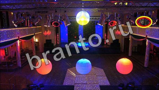 ответы на игру Где же кот Уровень 1117