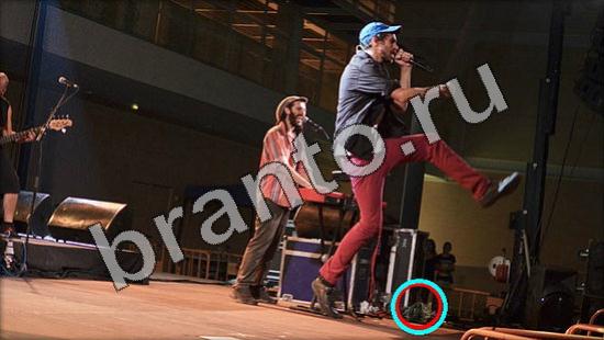 Подсказки на игру Где же кот Уровень 1122