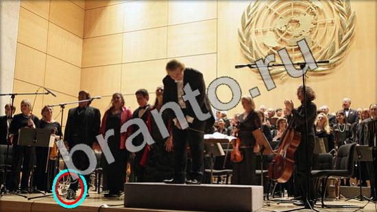 ответы к игре Где же кот Уровень 1125