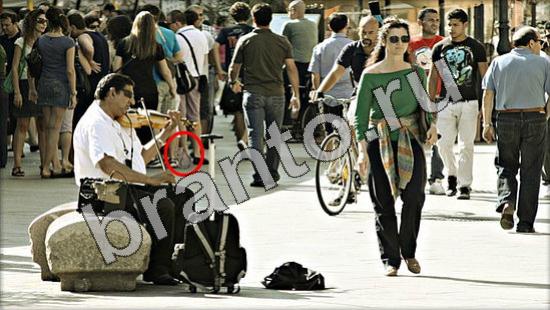 Где же кот? ответы Уровень 1128