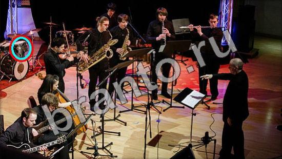 Где же кот? подсказки Уровень 1129