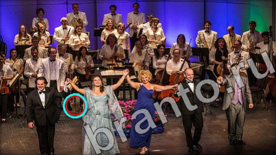 Где же кот? помощь Уровень 1130