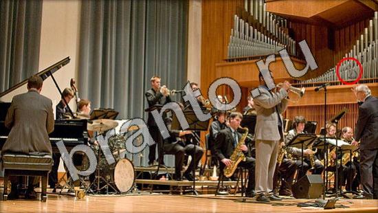 решебник на игру Где же кот Уровень 1131