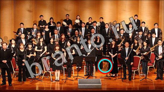 Где же кот игра ответы Уровень 1133