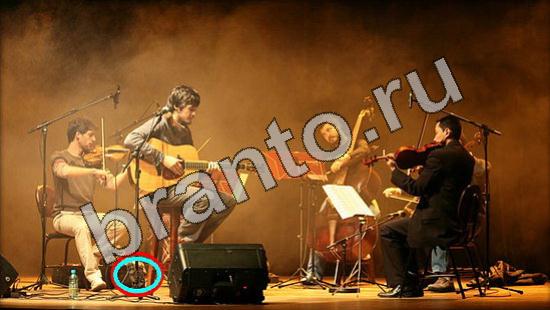 Где же кот игра подсказки Уровень 1134