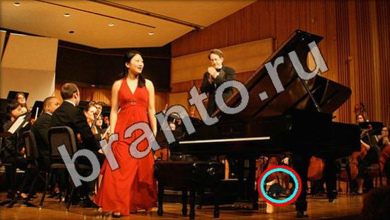 Где же кот ответы в картинках Уровень 1136