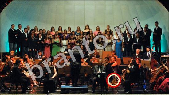 Игра Где же кот ответы Уровень 1137