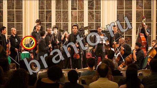 Игра Где же кот подсказки Уровень 1138