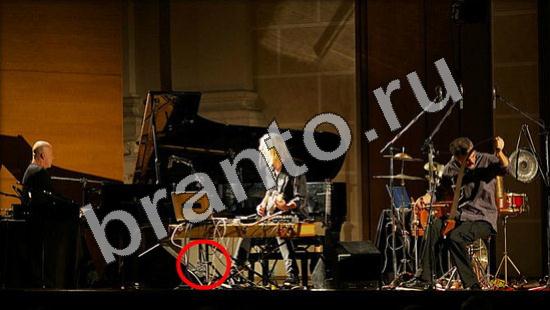 Игра Где же кот прохождение Уровень 1140