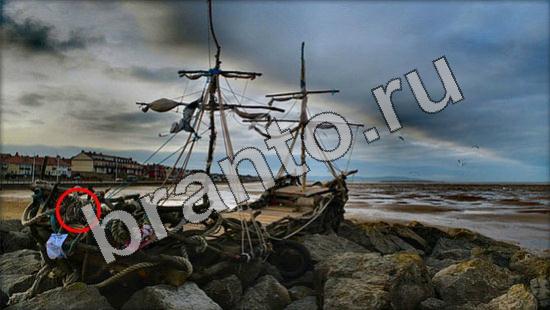 ответы для игры Где же кот Уровень 1147