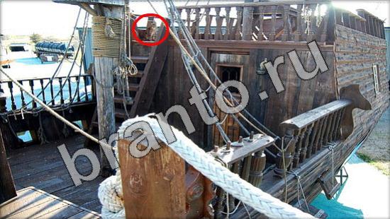 Где же кот игра ответы Уровень 1149