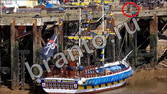 Где же кот ответы на новые задания Уровень 1153