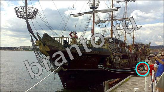 ответы на игру Где же кот Уровень 1154