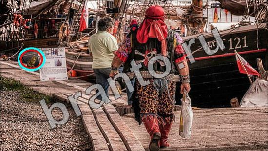 ответы на игру Где же кот Уровень 1156