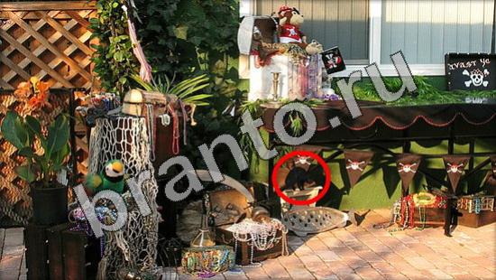 Где же кот ответы в одноклассниках Уровень 1159