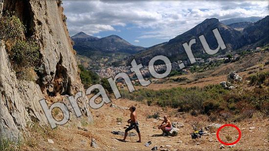 ответы на игру Где же кот Уровень 1161